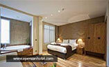 Deluxe Double Room City View 2nd Floor غیر قابل استرداد تریادا تکسیم استانبول