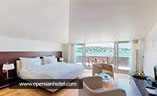 Deluxe Double Bed Park View غیر قابل استرداد آجیا استانبول