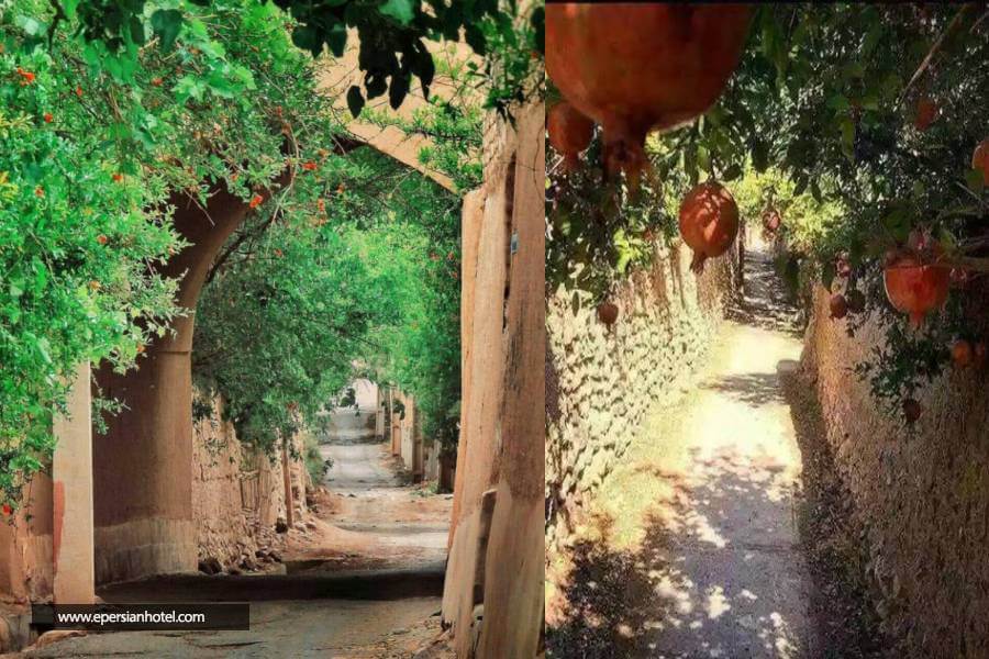 باغ انار یزد کوچه باغ یزد