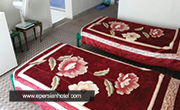 دو تخته مهدی اردبیل