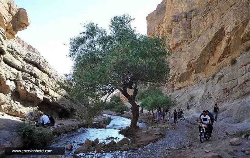 سرسبزی و زیبایی ناب کلات مشهد