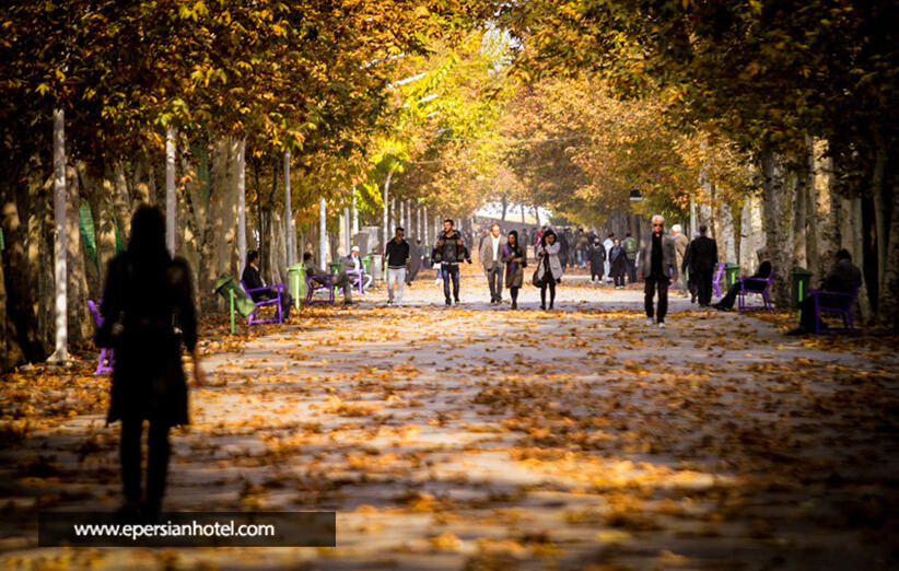 مسیر پیاده روی زیبای پارک ملت مشهد