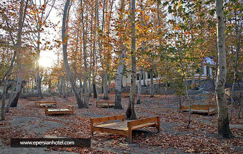 پارک جنگلی وکیل آباد مشهد 
