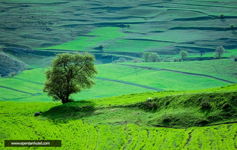 جنگل های ارسباران تبریز، به زیبایی یک رویا