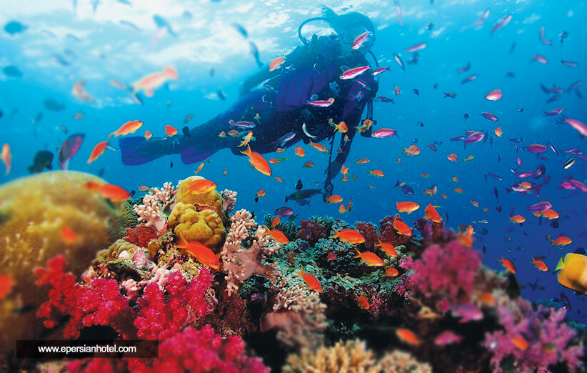 غواصی کیش | دیدن شگفتی های زیر آب + عکس