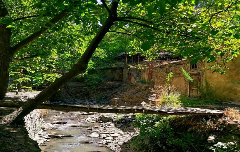 شاندیز