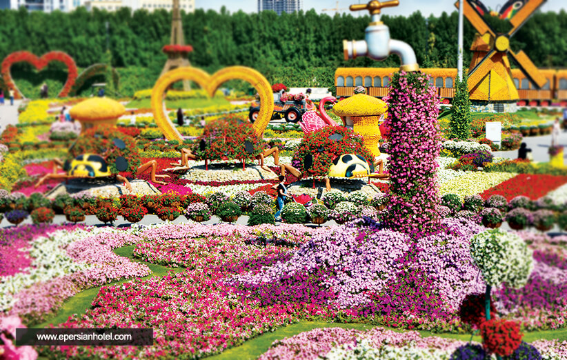 باغ گل دبی، بزرگ ترین باغ گل جهان