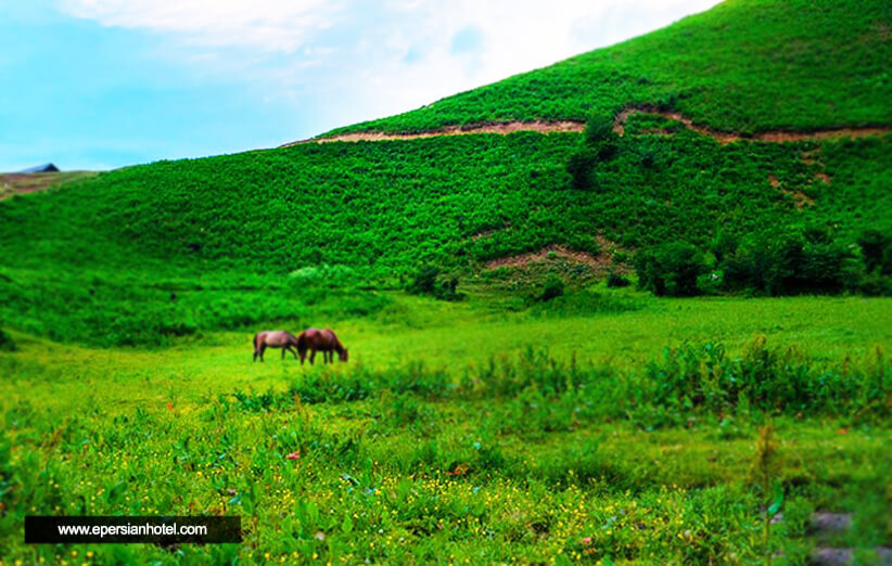 جاهای دیدنی لواسان