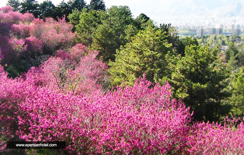 بهترین پارک های تهران