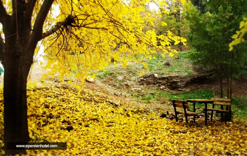 بهترین پارک های تهران