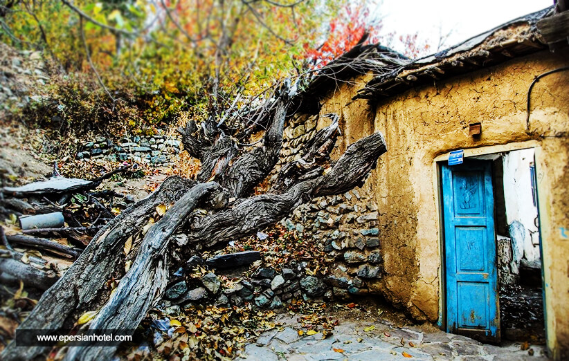 روستای واریش