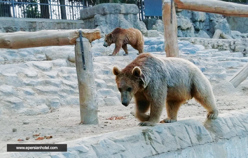 جاهای تفریحی تهران برای کودکان