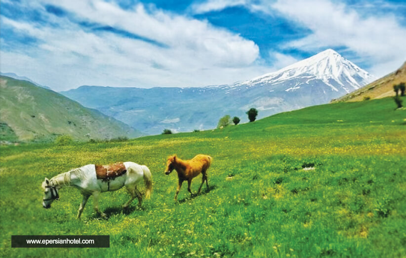 جاهای دیدنی دماوند