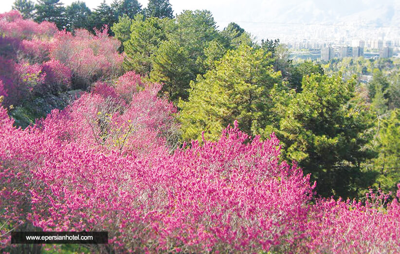 پارک ملی سرخه حصار