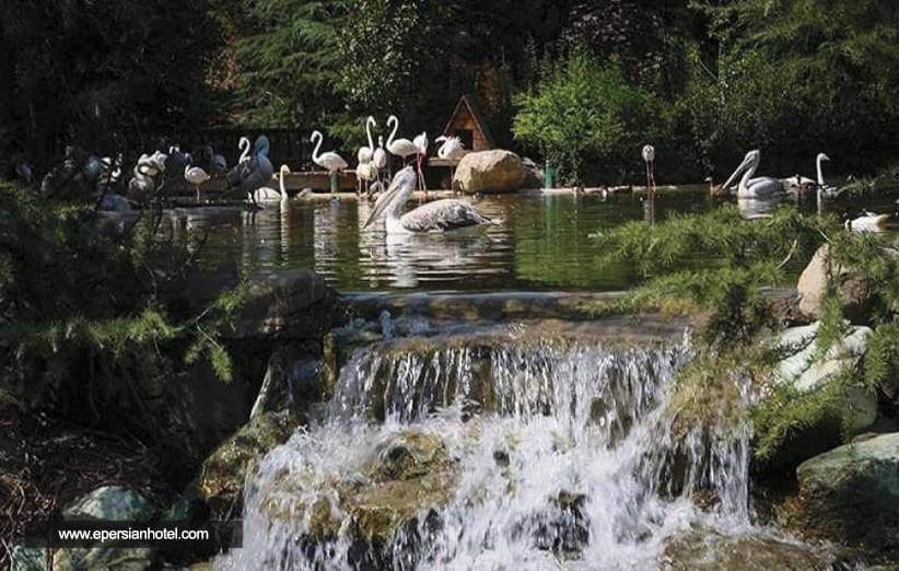 باغ پرندگان تهران و هرآنچه که باید بدانید!