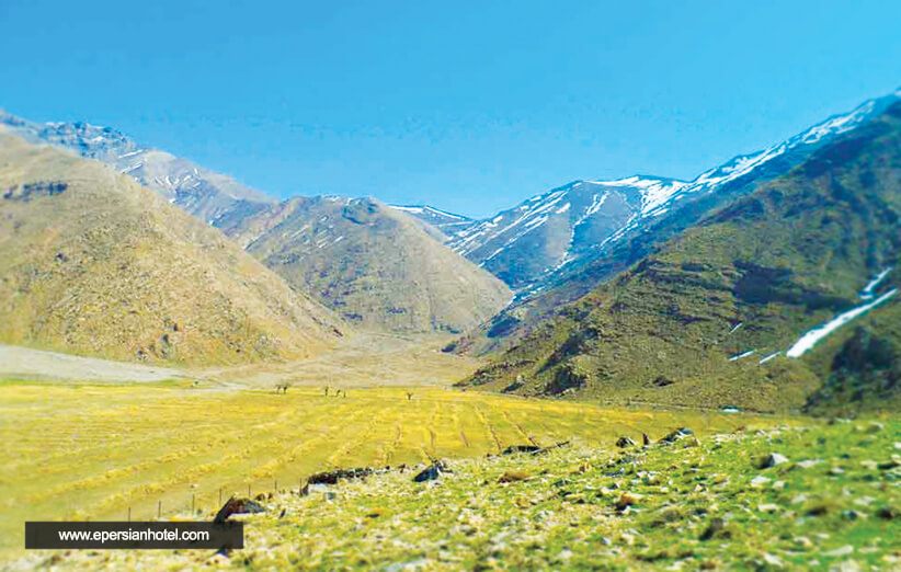 روستای افجه