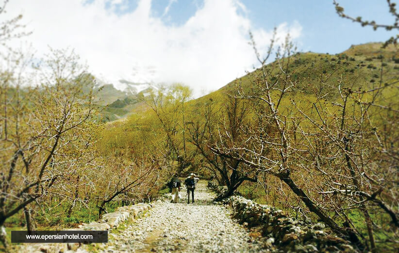 روستای افجه