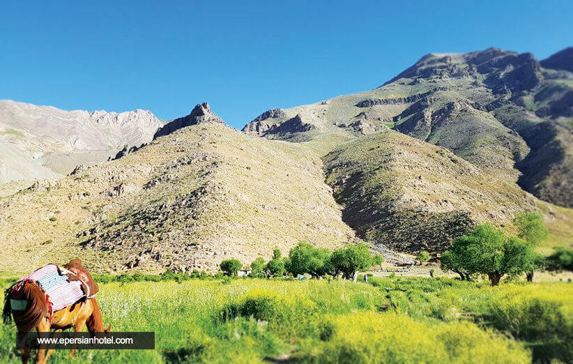 روستای افجه