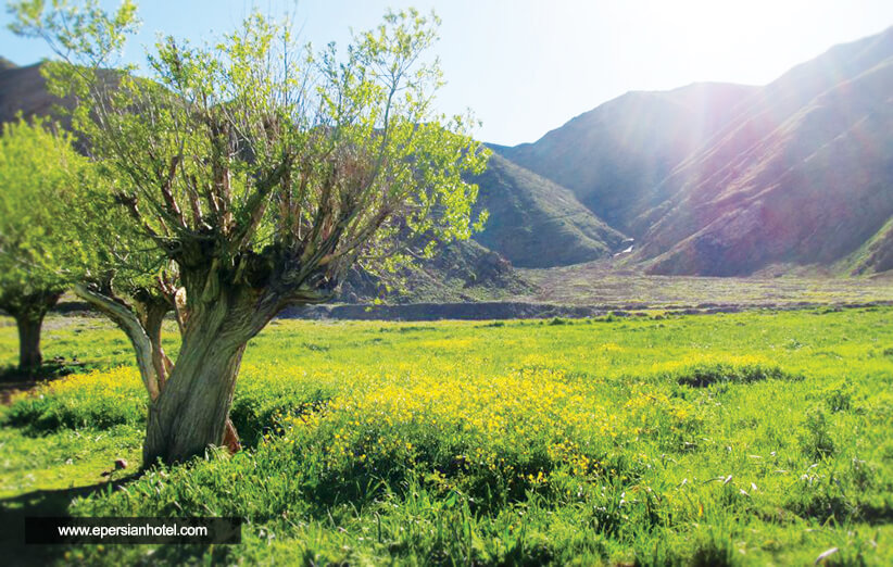 روستای افجه