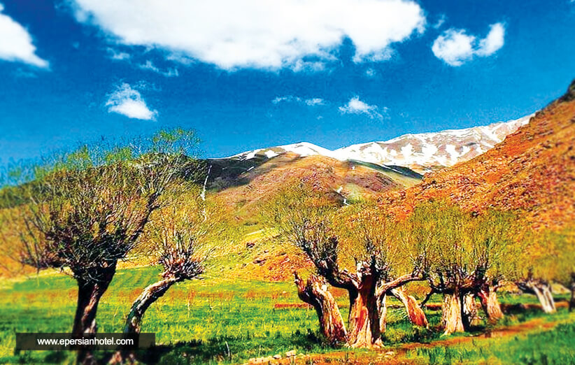 روستای افجه