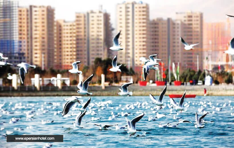 دریاچه چیتگر