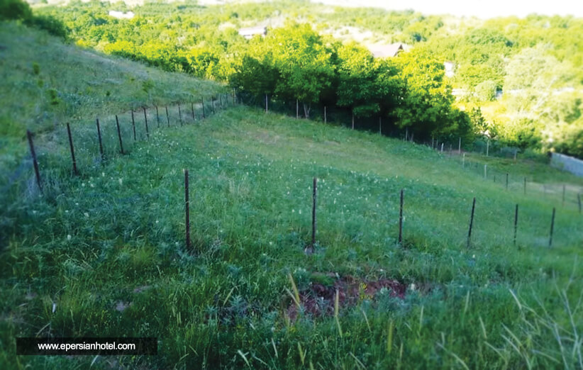 روستای امامه