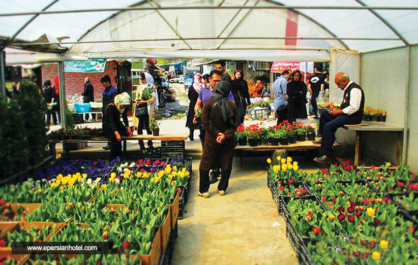 همه چیز درباره بازار گل محلاتی تهران + عکس