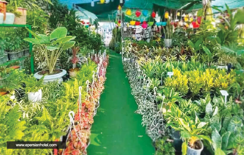 بازار گل محلاتی