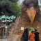 باغ پرندگان مشهد ؛ سفر به دنیای پرندگان کمیاب ایران و جهان