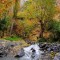روستای زشک مشهد ؛ بهشت چشمه‌های جوشان