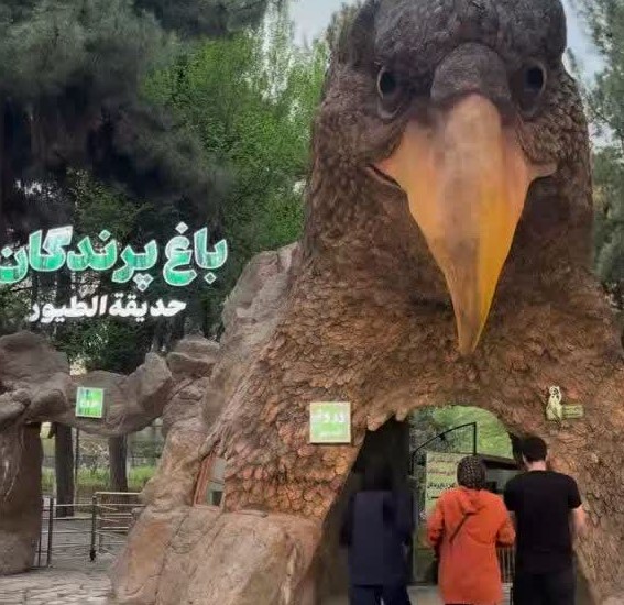 باغ پرندگان مشهد ؛ سفر به دنیای پرندگان کمیاب ایران و جهان