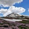 رشته کوه سهند تبریز ، عروس سپید پوش ایران