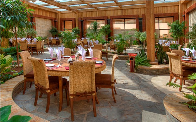 darvishi-roofgarden