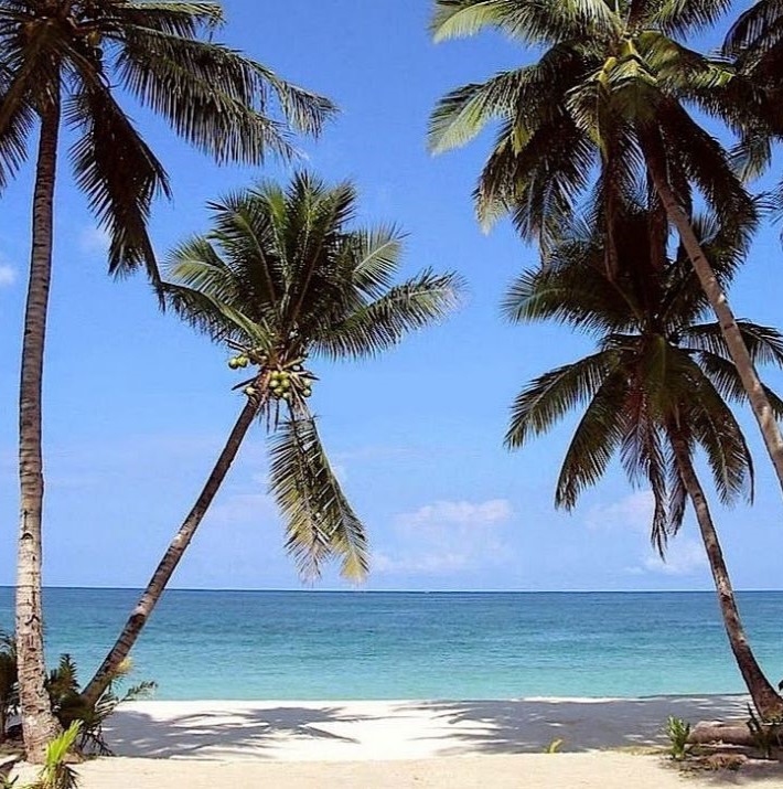 تفریحات کیش برای افراد مسن، تجربه لذت سفری بی دغدغه و آرام