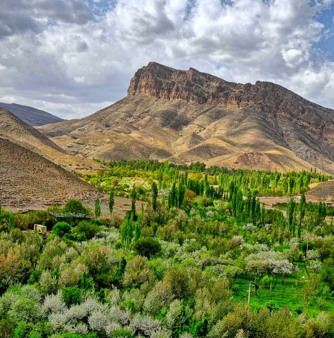 دره آل مشهد؛ بهشت پنهان خراسان و مقصدی جذاب برای طبیعت گردی